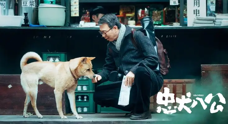 百度阅读在瑞士用不了怎么办